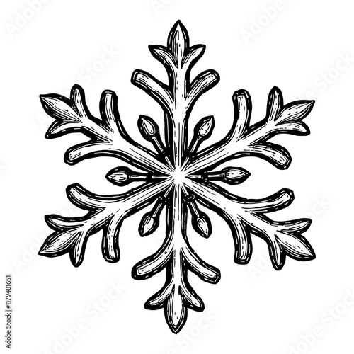 Snowflake Detailed Black and White Outline Line Art Drawing Isolated Object