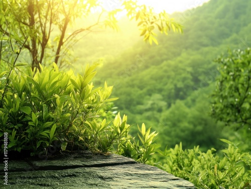 Immerse yourself in the serene beauty of a sun-drenched forest where lush vegetation blankets a tranquil forest floor, dappled with sunlight and alive with the sounds of wildlife, capturing nature's