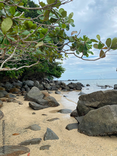 Paradise, picturesque, deserted beach in the morning of VTAIland. Travel, relaxation, wintering on the island. Sand and tropical trees by the sea