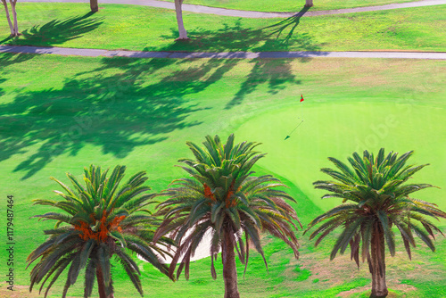 Lush golf course with vibrant green grass, palm trees, and a well-manicured putting green. Scene captures sunny weather, clean landscaping, and shadows of tall trees on the fairway photo