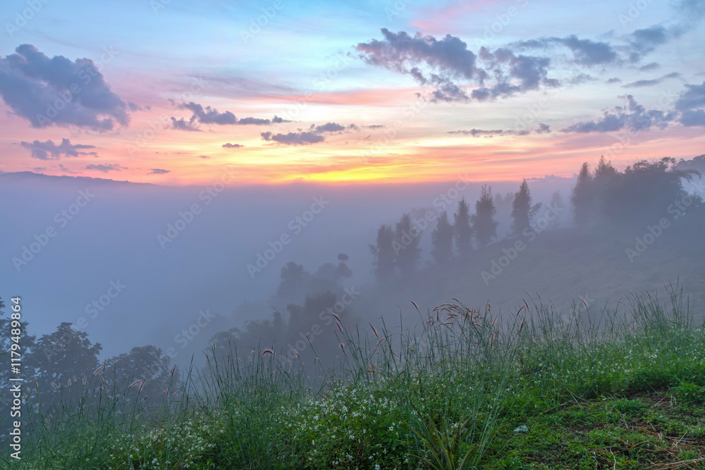 Obraz premium Misty autumn sunny sunrise in mountains. rural scenery with colorful sky light. countryside landscape rolling in to the distant valley full of fog