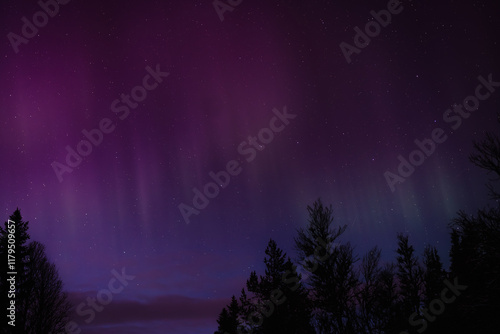Northern Lights Over Venabygd Fjell in Norway