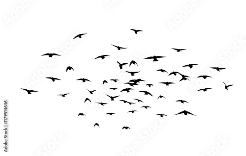 Flying birds silhouette flock. hand drawing. Not AI. Vector illustration