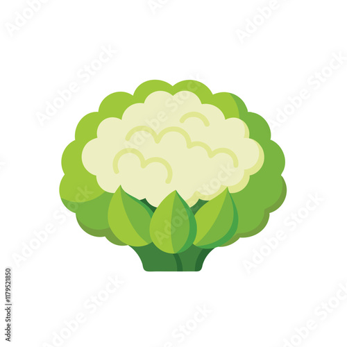 Cauliflower isolated flat vector illustration on white background