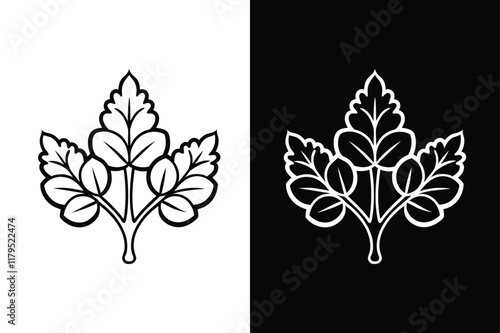 Watercress icon vector on White Background ,Vector Art Illustration on white background.