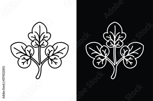 Watercress icon vector on White Background ,Vector Art Illustration on white background.