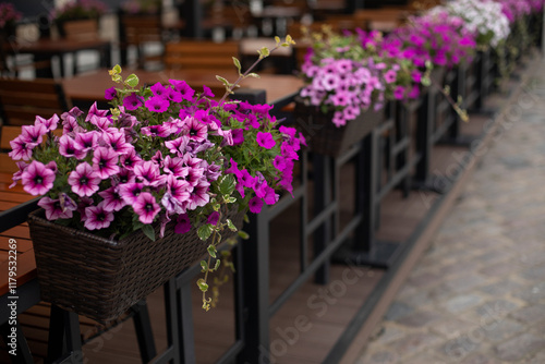 Wallpaper Mural Colorful petunia flowers in a basket on the restaurant terrace.
 Torontodigital.ca