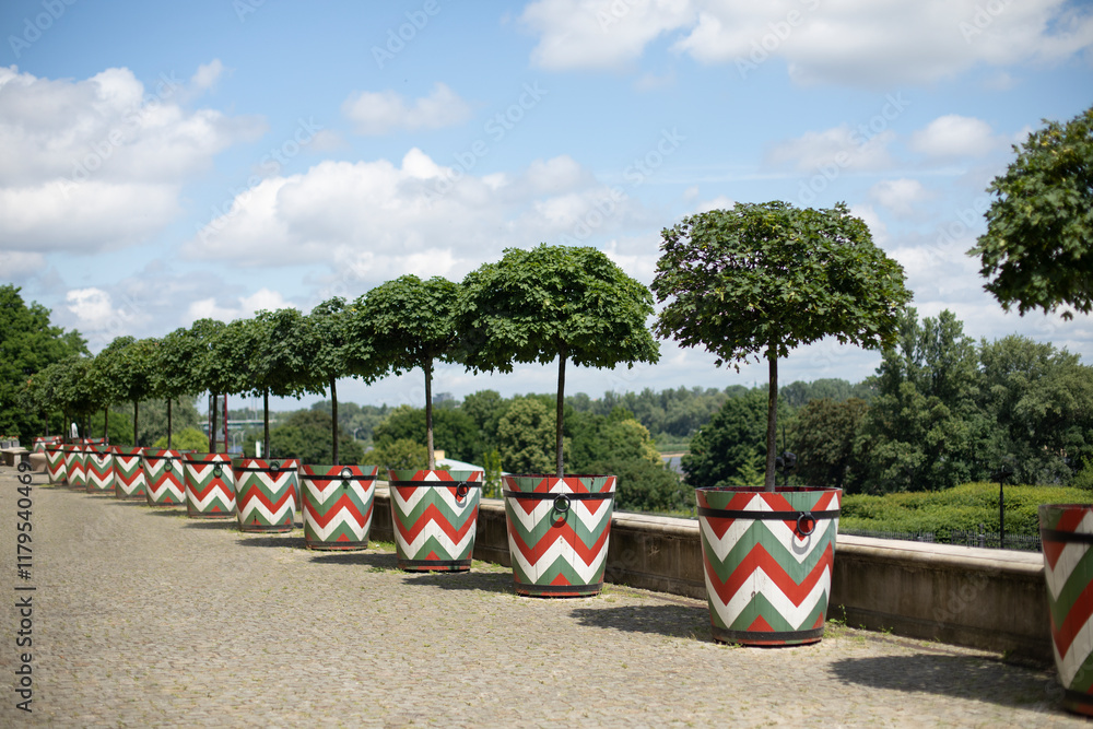 Row of green trees in colorful wooden flower pots with ornaments in front of a building, garden in a royal castle, landscape design, urban gardening
Row of green trees in colorful wooden flower pots with ornaments in front of a building, garden in a royal castle, landscape design, urban gardening