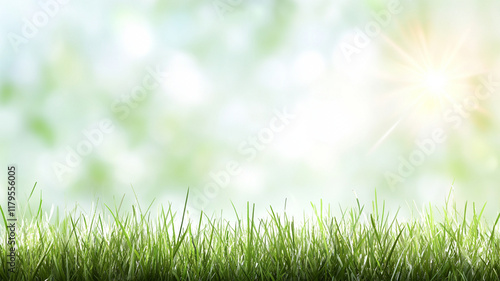 Fresh grass against blurred green nature background, natural spring meadow texture with sunlight and bokeh effect for outdoor design