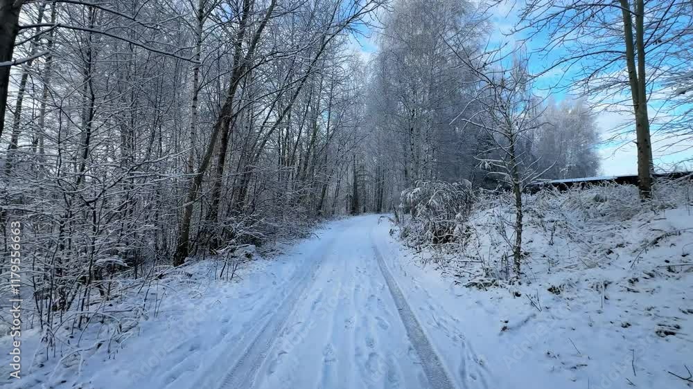 A snowy road with trees in the background. The snow is covering the ground and the trees are bare A snowy road with trees in the background. The snow is covering the ground and the trees are bare