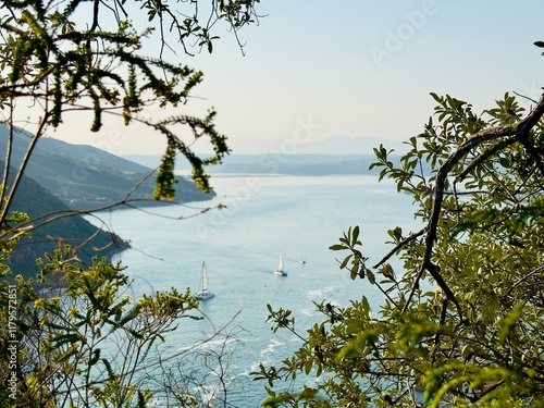 Knysna Lagoon behind tree photo