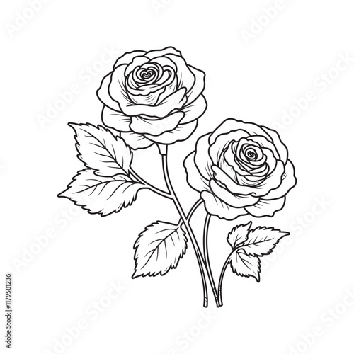 Wallpaper Mural rose line vector illustration Torontodigital.ca