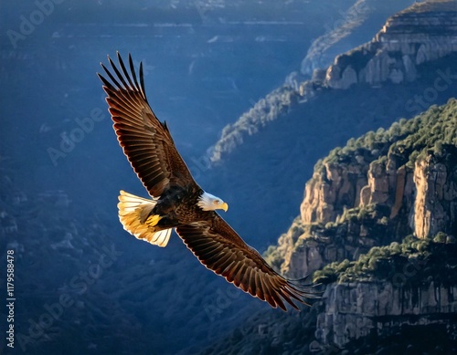 eagle flight
