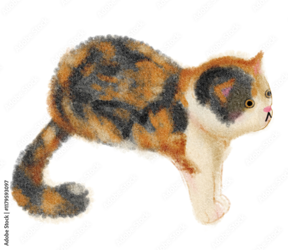 Obraz premium Calico cat