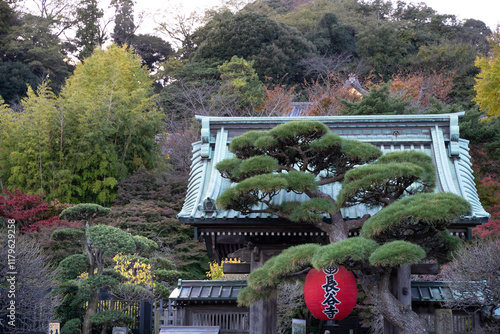 Red Giant Lantern at the Front gate of Hasedera Temple in Kamakura. photo