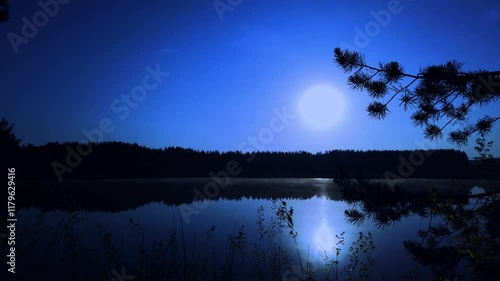 Moonlit night on a forest lake, fog over the water, tall grass swaying in the wind, unfocused objects, summer season, full moon