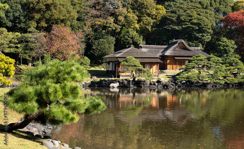 Japan, Tokyo, Hamarikyu Garden in momiji season.