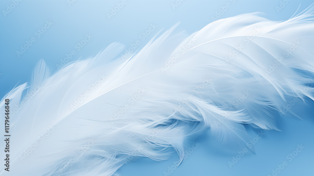 White feather on blue background White feather on blue background