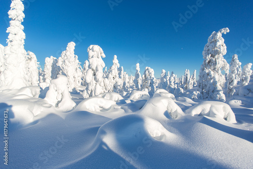 Bild auf Leinwand Winterwonderland Finnland
