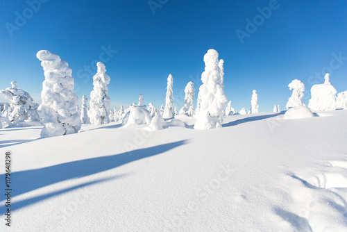 Winterwonderland Finnland photo