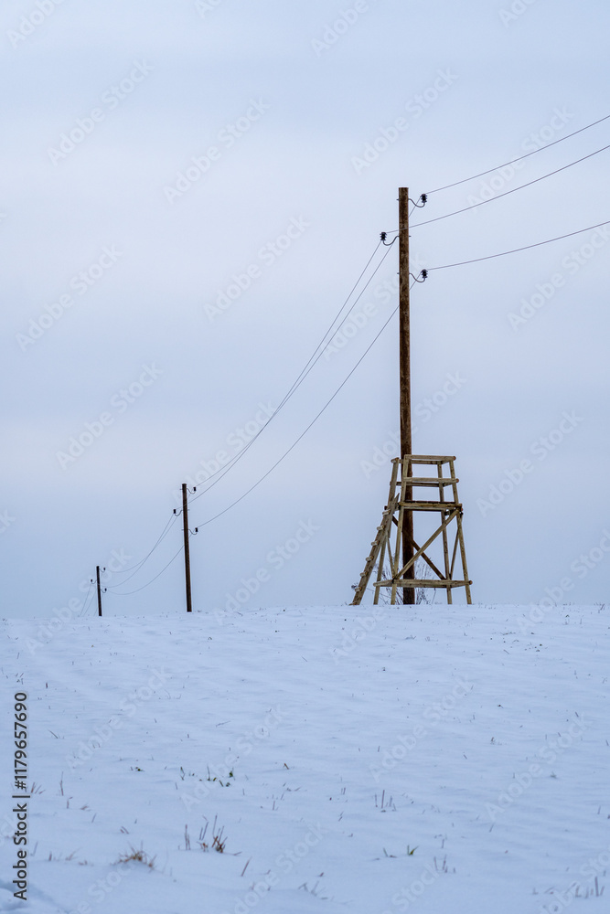 Utility Poles and Hunting Platform in Snowy Field. Hunting Tower with Power Lines in Winter Landscape.