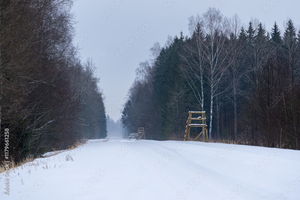 Snowy Forest Road with Hunting Platforms. Winter Path Through Forest and Hunting Stands Snowy Forest Road with Hunting Platforms. Winter Path Through Forest and Hunting Stands