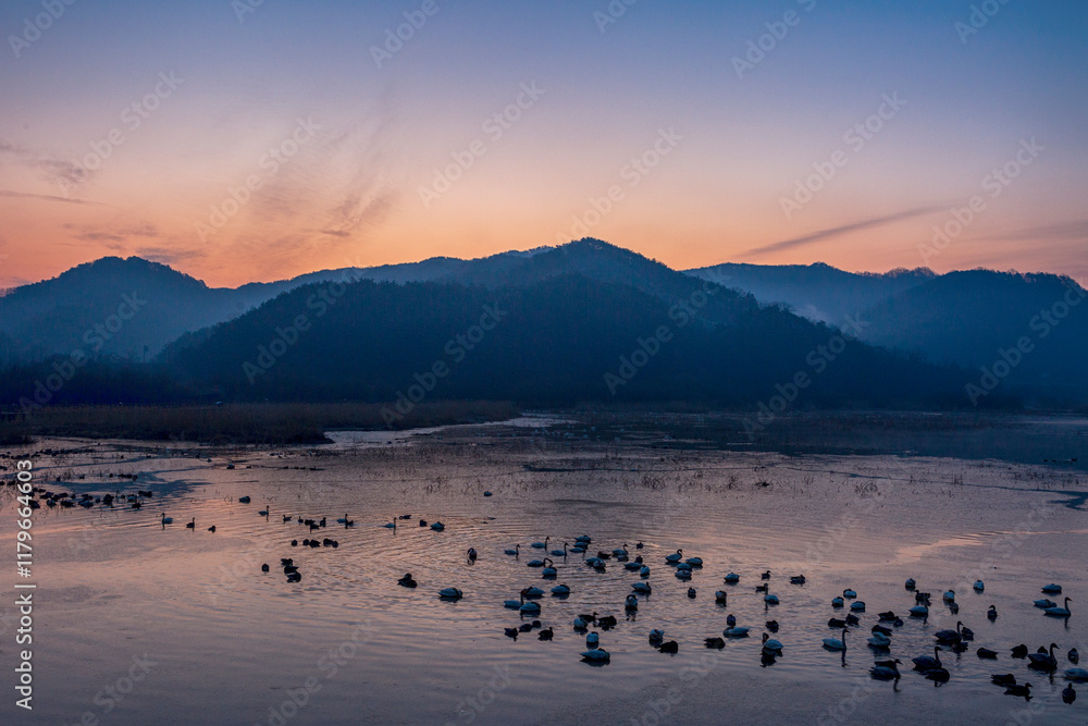 Tranquil Moments of Nature: Birds, Sunsets, and Serene Landscapes. Winter Morning Landscape of Junam Reservoir in Changwon, South Gyeongsang Province, South Korea Tranquil Moments of Nature: Birds, Sunsets, and Serene Landscapes. Winter Morning Landscape of Junam Reservoir in Changwon, South Gyeongsang Province, South Korea