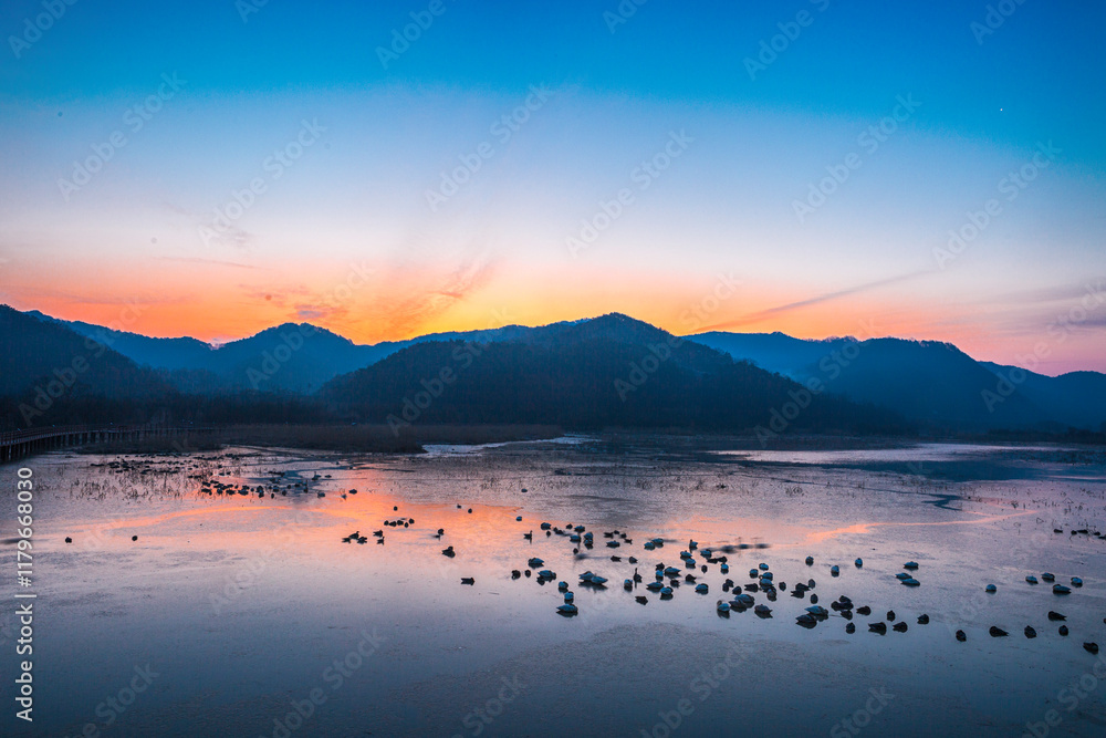 Tranquil Moments of Nature: Birds, Sunsets, and Serene Landscapes. Winter Morning Landscape of Junam Reservoir in Changwon, South Gyeongsang Province, South Korea Tranquil Moments of Nature: Birds, Sunsets, and Serene Landscapes. Winter Morning Landscape of Junam Reservoir in Changwon, South Gyeongsang Province, South Korea