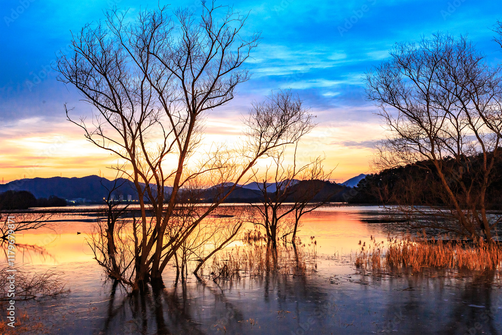 Obraz premium Tranquil Moments of Nature: Birds, Sunsets, and Serene Landscapes. Winter Morning Landscape of Junam Reservoir in Changwon, South Gyeongsang Province, South Korea