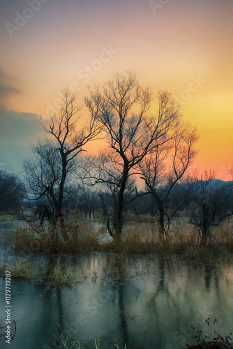 Tranquil Moments of Nature: Birds, Sunsets, and Serene Landscapes. Winter Morning Landscape of Junam Reservoir in Changwon, South Gyeongsang Province, South Korea