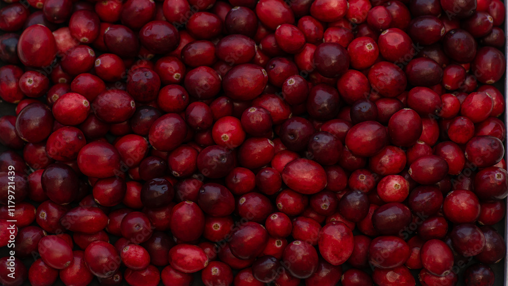 red cranberry fruits In all directions on the table red cranberry fruits In all directions on the table