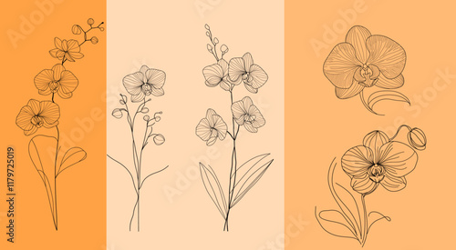 set of flowers. Line art orchids. Vector illustration. Silhouette orchids. For greeting cards, wall art, wedding invitations, botanical illustration, decor. 