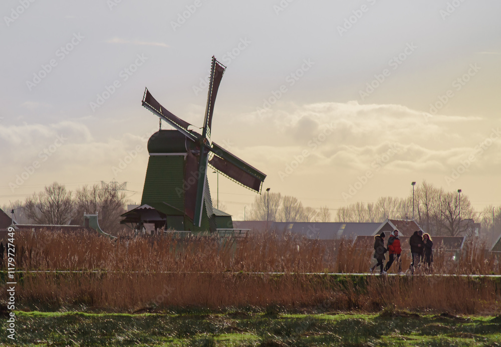 Fototapeta premium the windmills of the netherlands