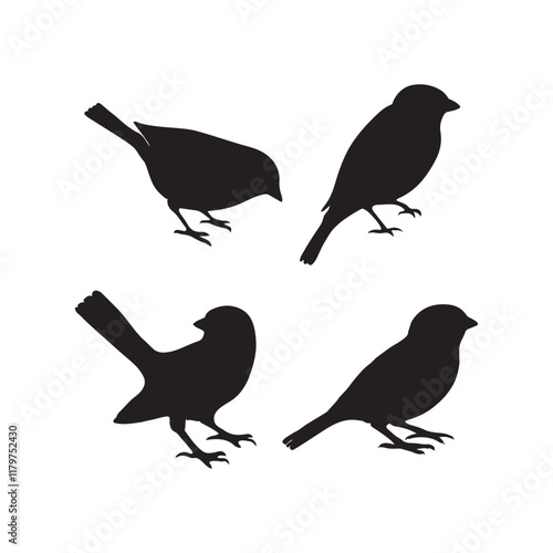 sparrow vector illustration style flat black silhouette, silhouette of sparrow or titmouse in different poses, black and white, sparrow icon or logo illustration