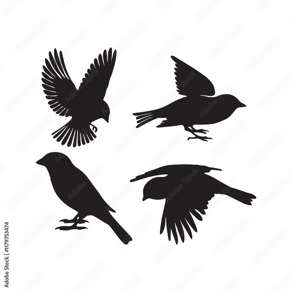 Obraz premium sparrow vector illustration style flat black silhouette, silhouette of sparrow or titmouse in different poses, black and white, sparrow icon or logo illustration