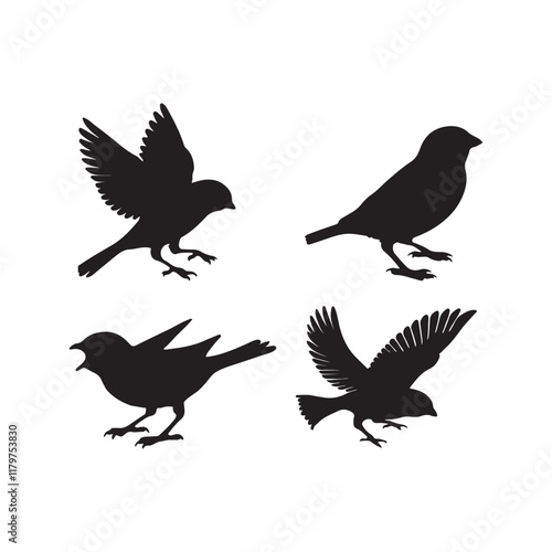 sparrow vector illustration style flat black silhouette, silhouette of sparrow or titmouse in different poses, black and white, sparrow icon or logo illustration