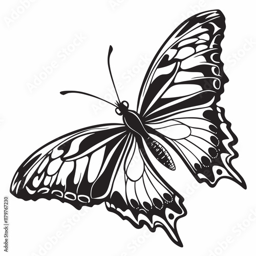 Butterfly Black silhouette