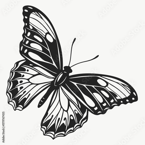 Butterfly Black silhouette