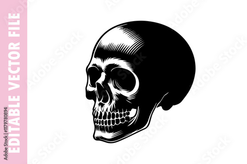 skull on black, skull vector silhouette illustration