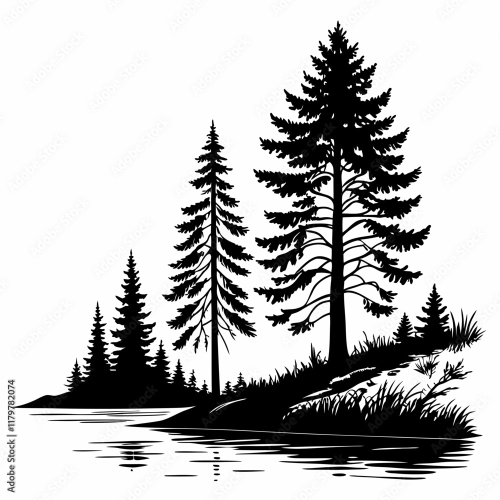 Obraz premium Reflection in water, pine tree forest Black silhouette