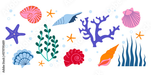 Ocean-inspired illustrations. Shells, starfish, corals, and aquatic plants in vibrant modern flat design.