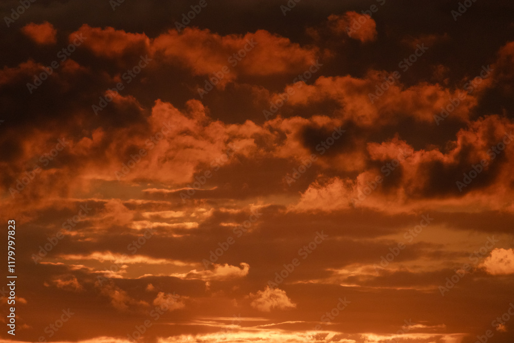 Fototapeta premium sunset in the sky