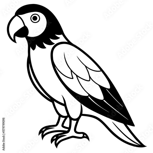 Parrot vector silhouette on white background