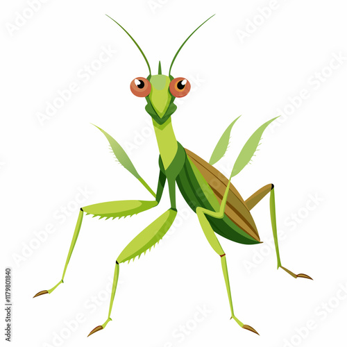 green praying mantis