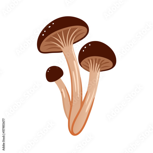 Flat  icon of armillaria mellea or honey fungus Edible vector illustration (5)
