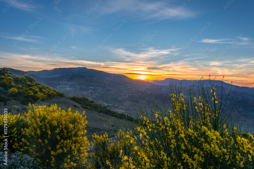 Naklejka premium mountain, mountains, algeria, africa, landscape, nature, sky, panorama, outdoor, peak, hill, background, scenery, view, travel, rock, forest, valley, beautiful, hiking, adventure, scenic, tourism.