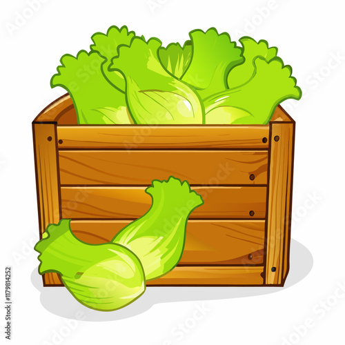 Lettuce  wooden banner  vector illustration (2)