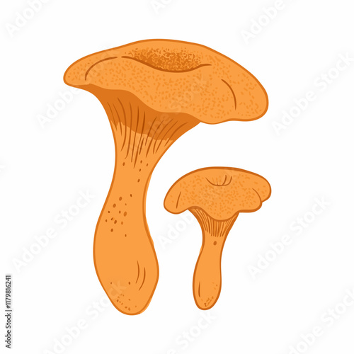 Vector illustration of a chanterelle mushroom Handdrawn (4)