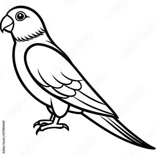 Lovebird vector silhouette on white background