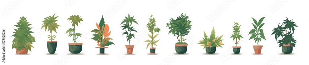 Fototapeta premium An illustration featuring a diverse collection of potted plants with different shapes, sizes, and colors, perfect for gardening, nature, and botanical themes.